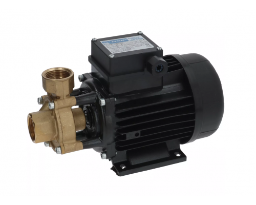 Насос 570 Вт 230 В PBC50 OSIP