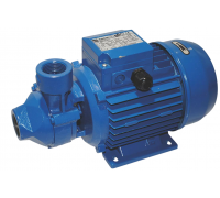 Насос 1.1 кВт 230-240 В 50 Гц EBARA, арт. PRA 0.80T