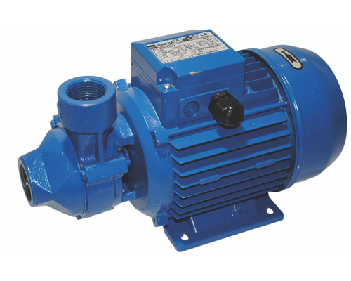 Насос 1.1 кВт 230-240 В 50 Гц EBARA, арт. PRA 0.80T