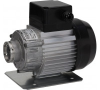 Мотор насоса 300 Вт, 230 В RPM, арт. C008406