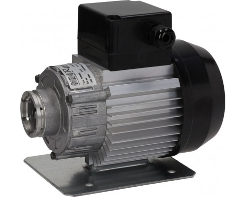 Мотор насоса 300 Вт, 230 В RPM, арт. C008406