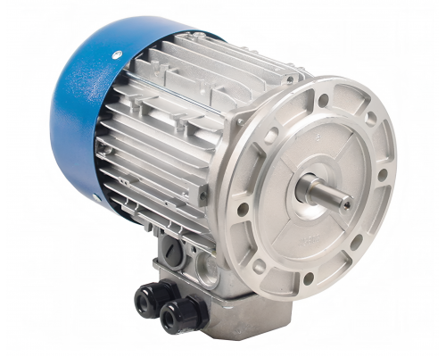 Мотор 600/800 Вт 400 В 3 фазы 2 скорости MOTORI ELETTRICI, арт. DN80B2/4