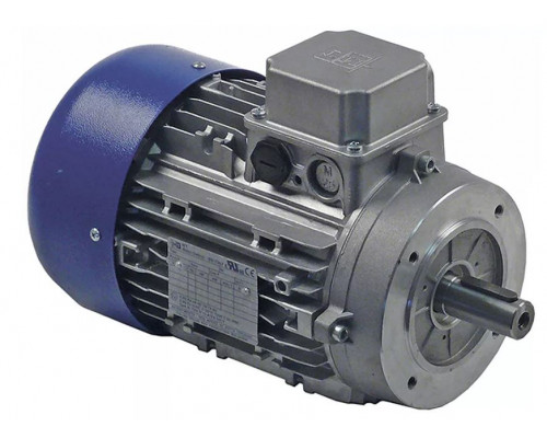 Мотор 1500/1800 Вт 230/400-277/480 В 50/60 Гц для тестомесильной машины DRDRIVES, арт. TS90L4