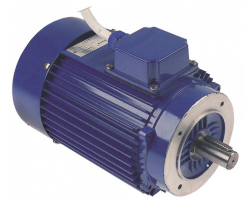 Мотор TIANYANG 329.500472 original parts eu 